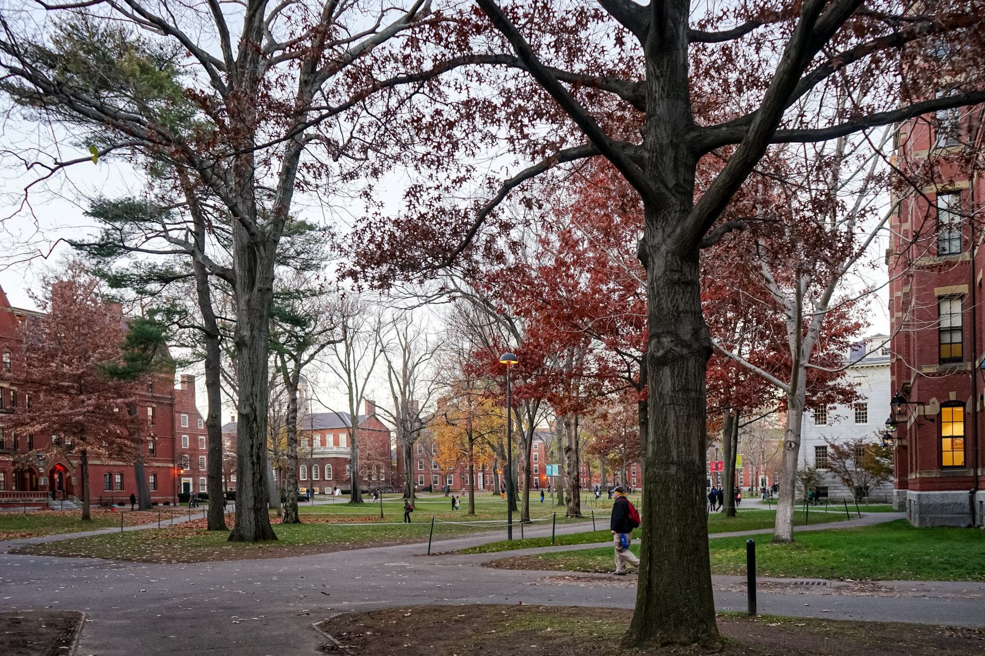 Harvard Yard in autumn